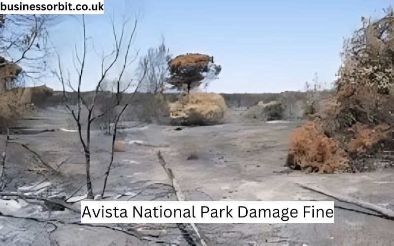 Avista National Park Damage Fine